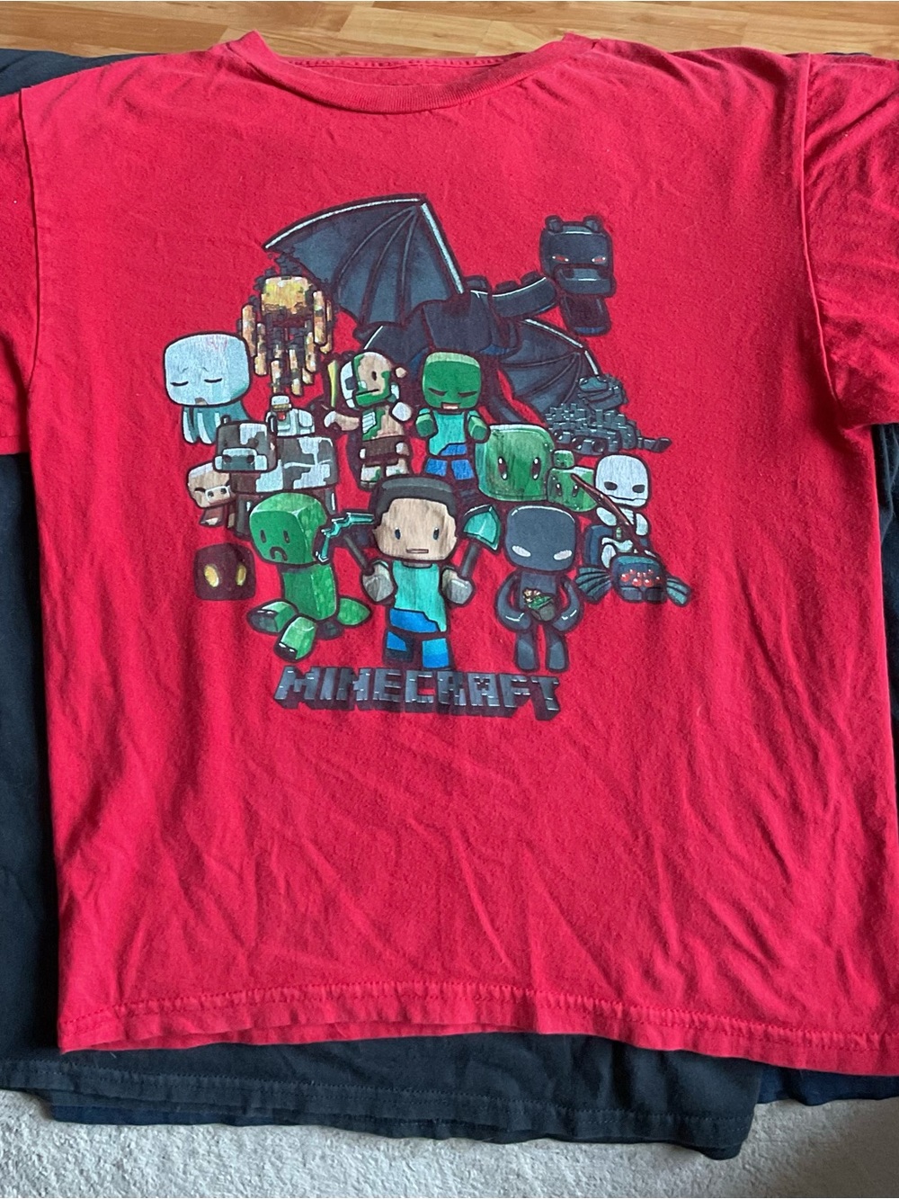 2 T-shirts Minecraft Kids Short Sleeve Graphic Tee - Red